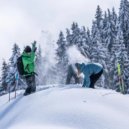 펜션 In Zillertal Near Slopes, Cleaning Included